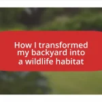 How I transformed my backyard into a wildlife habitat