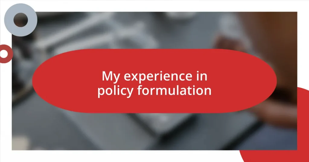 My experience in policy formulation