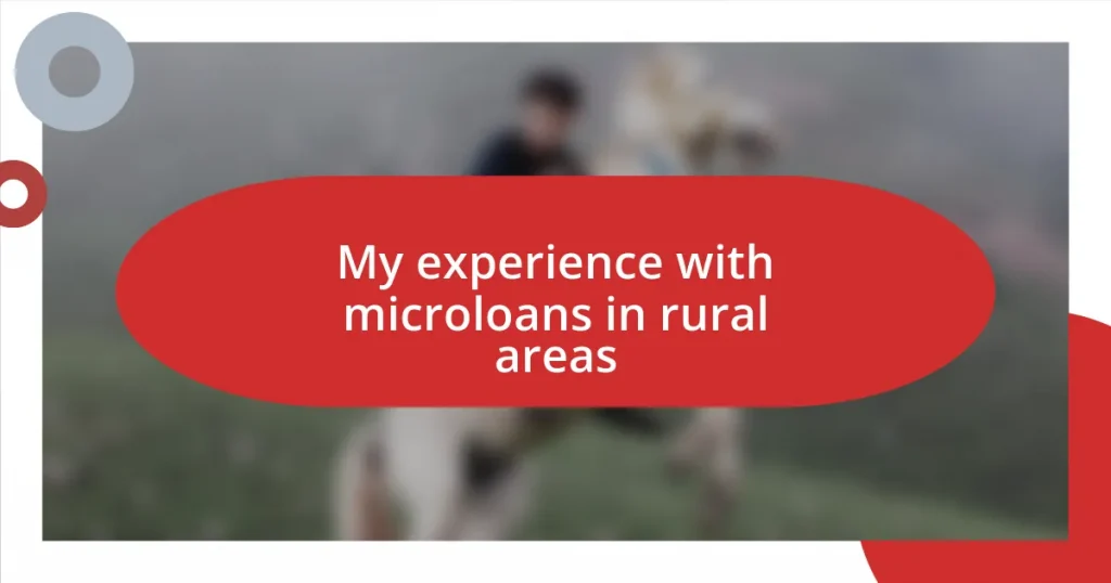 My experience with microloans in rural areas