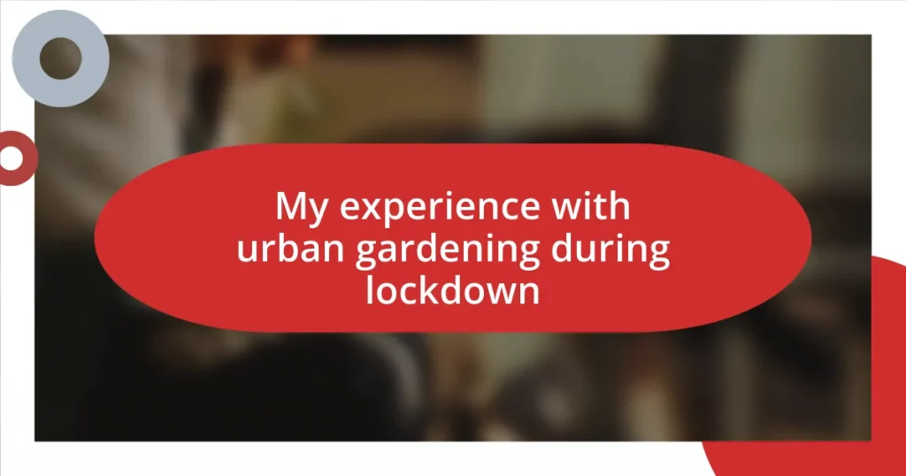 My experience with urban gardening during lockdown