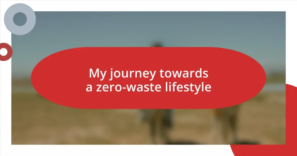 My journey towards a zero-waste lifestyle