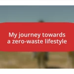 My journey towards a zero-waste lifestyle