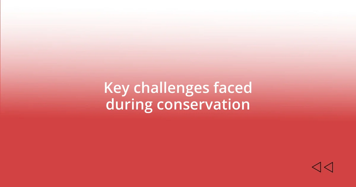 Key challenges faced during conservation