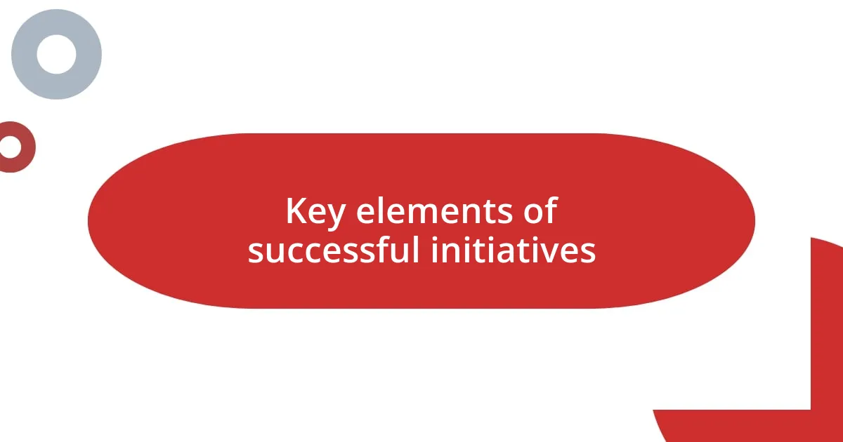 Key elements of successful initiatives