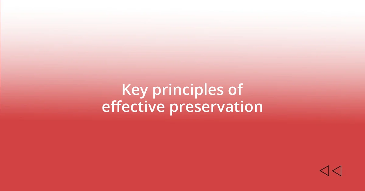 Key principles of effective preservation